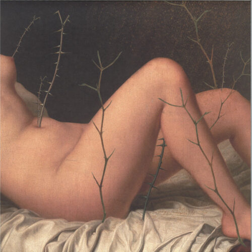 album-art