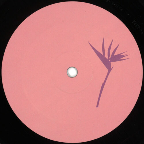 album-art