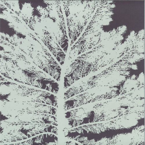 album-art