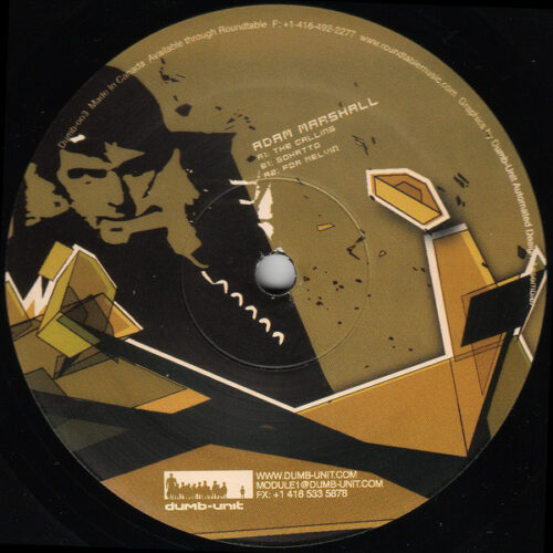 Adam Marshall - The Calling (12")