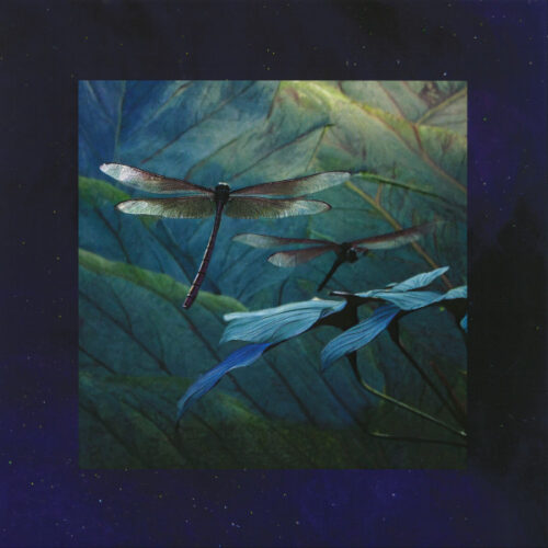 album-art