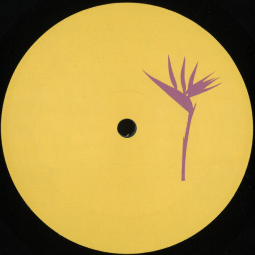 album-art
