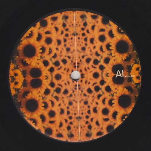 Halo - Dirty Soil EP (12", EP)