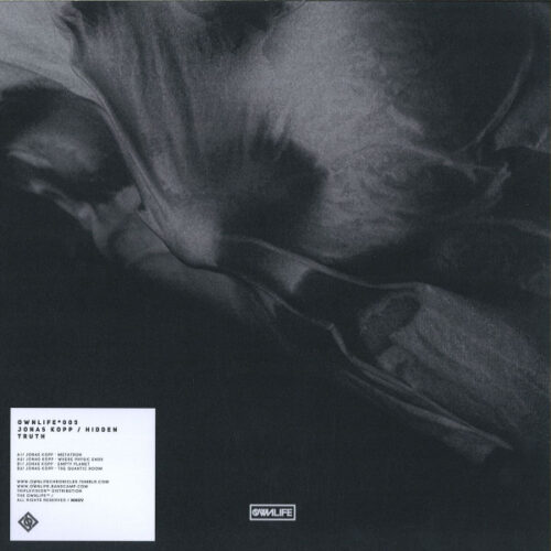 Jonas Kopp - Hidden Truth (12", Bro)