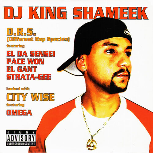 DJ King Shameek* - D.R.S. (Different Rap Species) / City Wise (12")