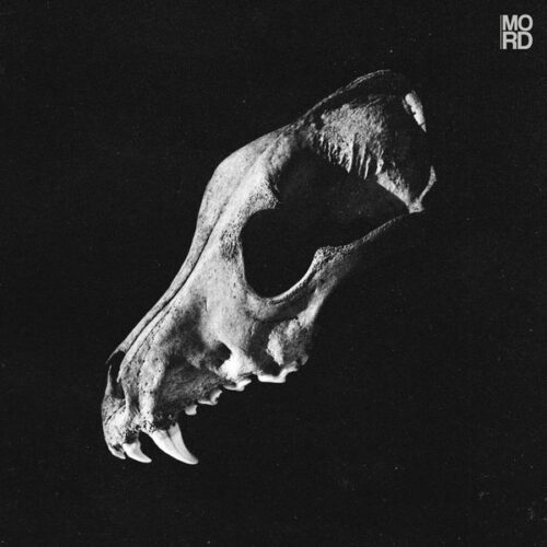 album-art