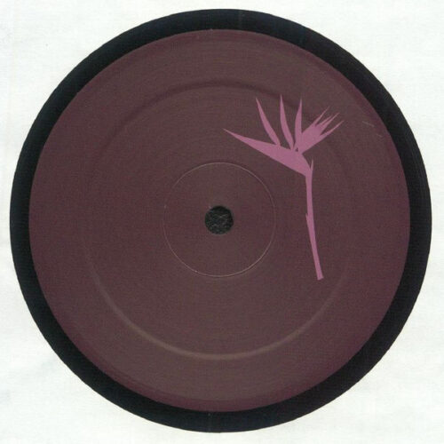 album-art