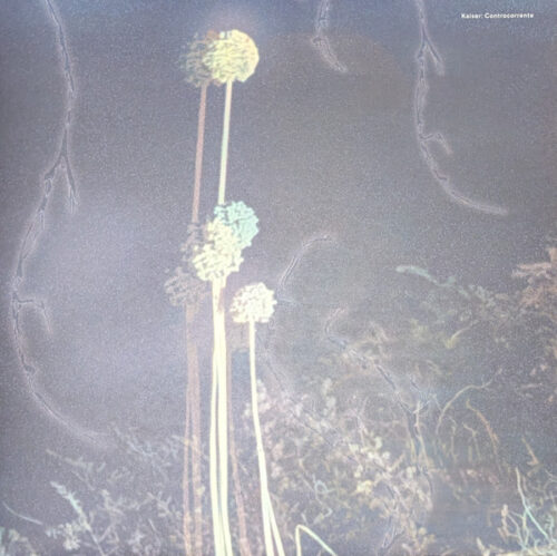 album-art