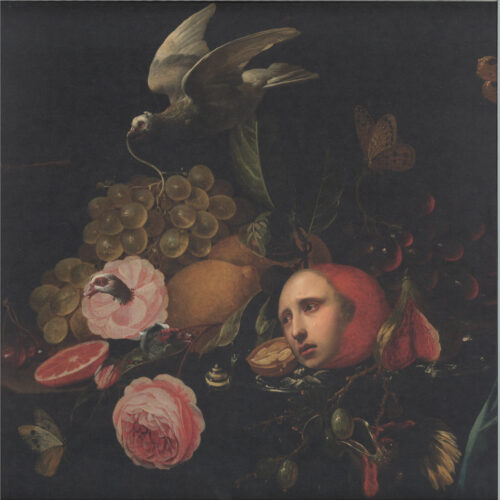 album-art