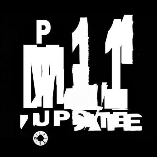 Pleasure Model - Update 1.1 (12", EP, Ltd)