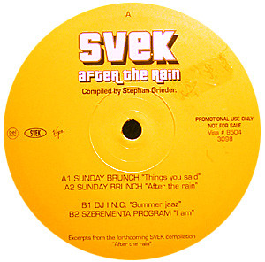 Various - After The Rain (12", Promo, Smplr)