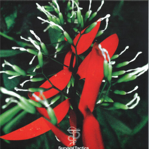 album-art