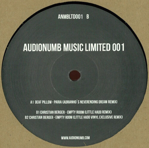 Various - Audionumb Music Limited 001 (12")