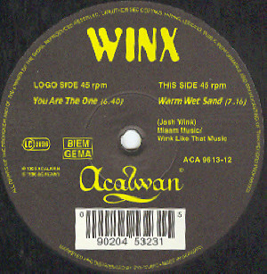 Winx* - You Are The One (12")