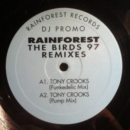 Rainforest - The Birds 97 Remixes (12", Promo)