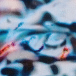 Shoal - Temporal Blend  (12")