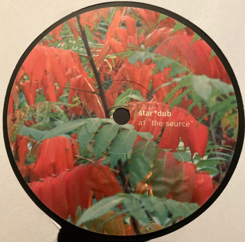 Star*Dub* / Vermittelnde-Elemente - Teilchenmusik (12")