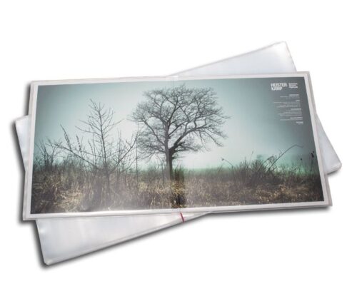 Gatefold LP Hanglemez fólia (premium)
