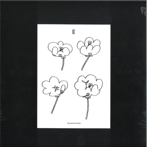 Lawrence - Poppies (12")