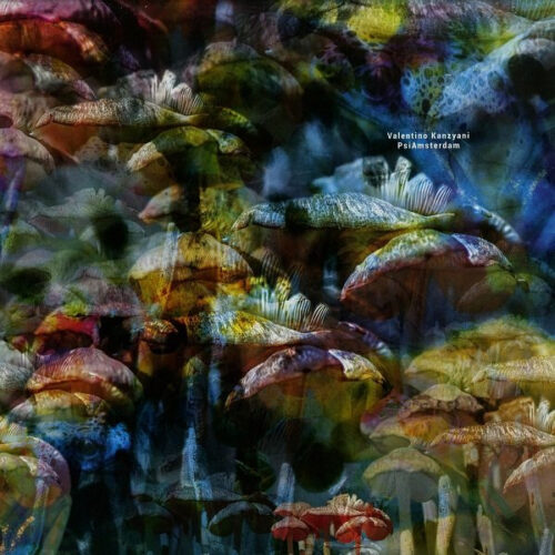 Valentino Kanzyani-0