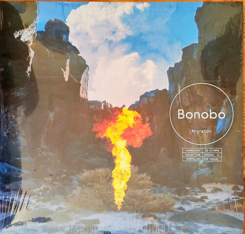 Bonobo-0