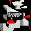 Mesh Convergence-0